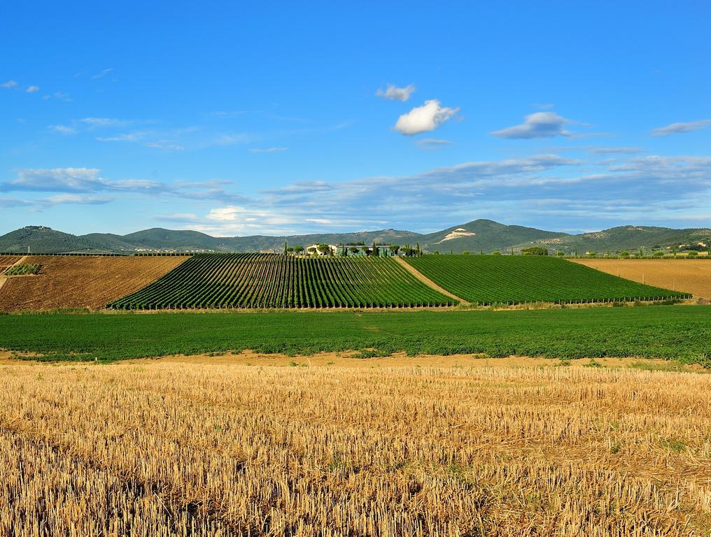 Tenuta Badia '99 Paciano Exterior photo